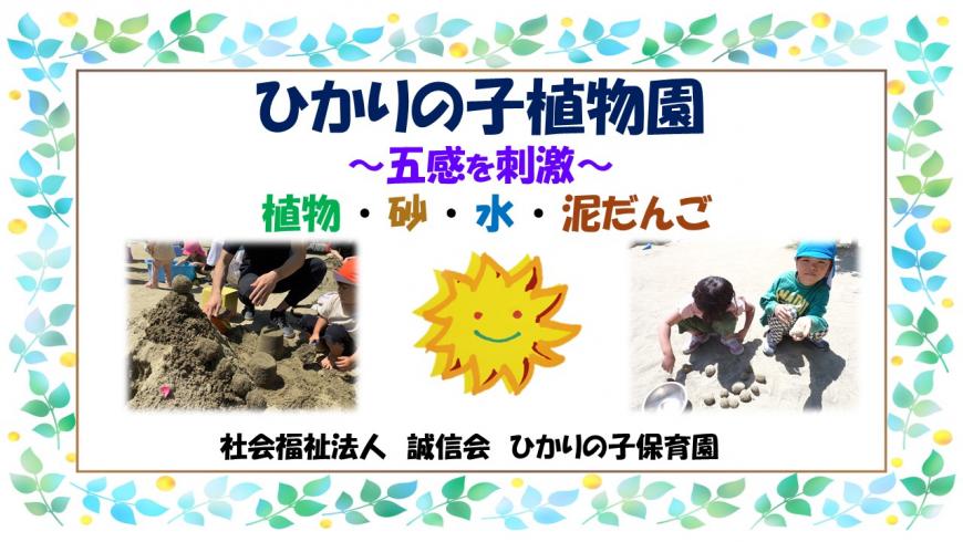 「ひかりの子植物園~五感を刺激~植物・砂・水・泥だんご」の表紙