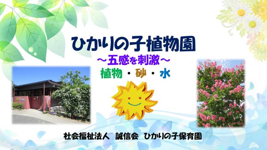 「ひかりの子植物園~五感を刺激~植物・砂・水(令和5年度)」の表紙