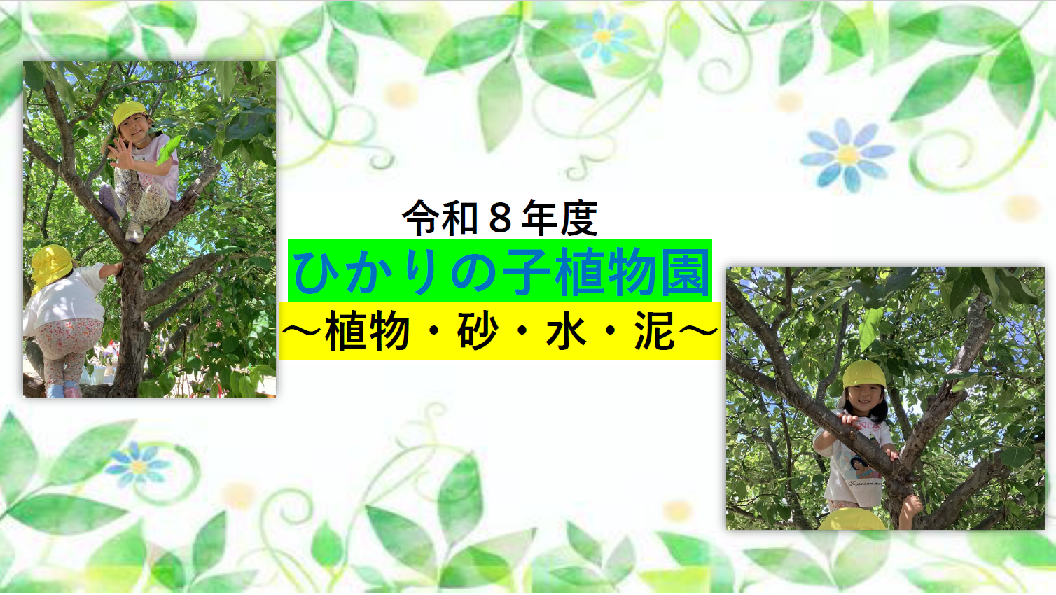 ひかりの子植物園、植物、砂、水、泥の表紙