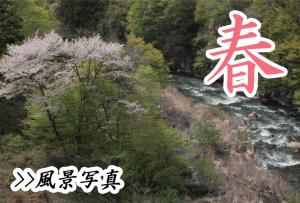 春の文字と川が流れその横に桜が咲いている風景写真