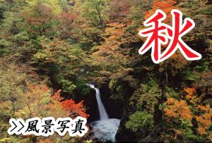 秋の文字と紅葉が咲き乱れ中央に滝が流れている風景写真