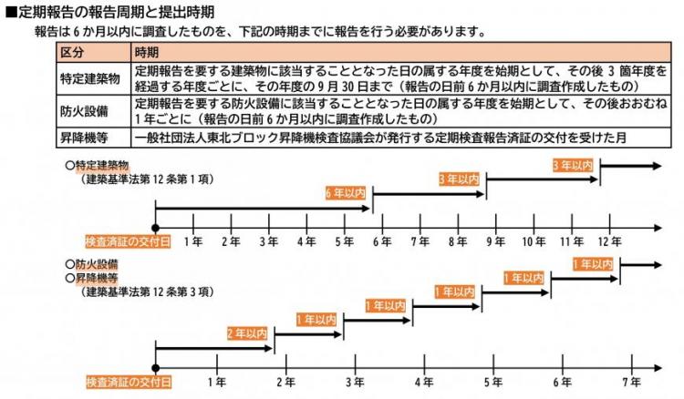 定期報告の報告周期と提出時期の図
