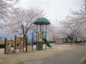 桜の木の近くに設置された複合遊具の写真