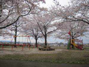 桜の木に囲まれるように設置されたブランコや複合遊具の写真