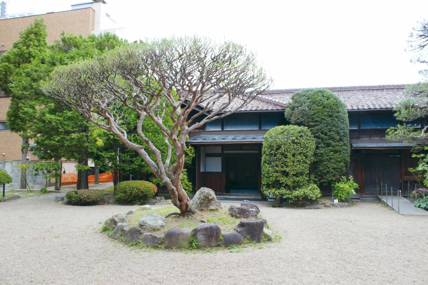 綺麗に剪定された木の後方に御倉邸が建っている外観写真