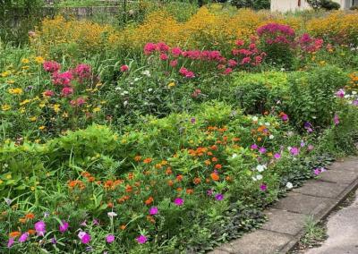 オレンジや赤色、ピンクなど色とりどりの草花が一面に生えている沿道の写真