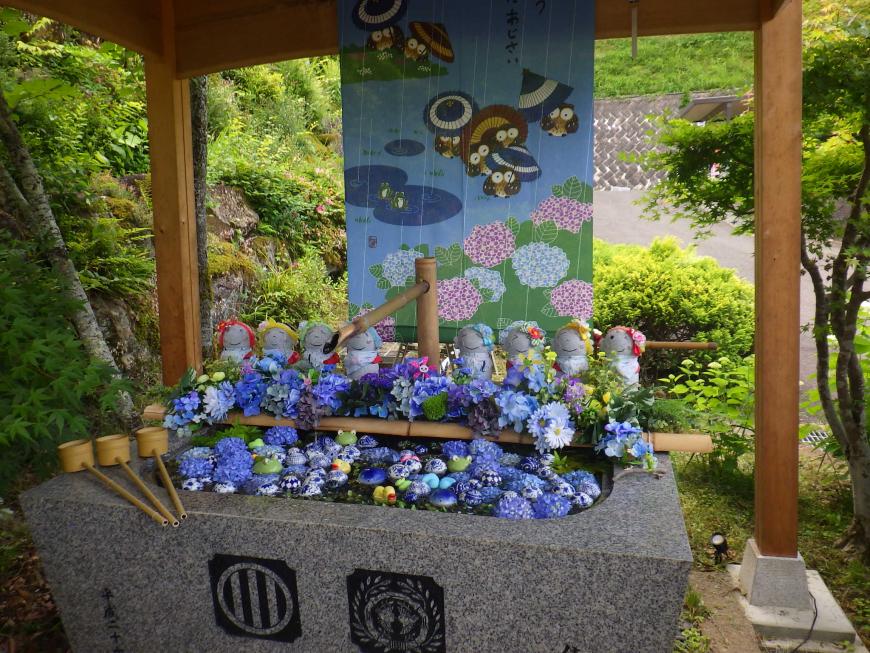 手水舎にアジサイが描かれた暖簾がさがり、水場にはアジサイなどの花が浮かんだ花手水になっている境内の写真