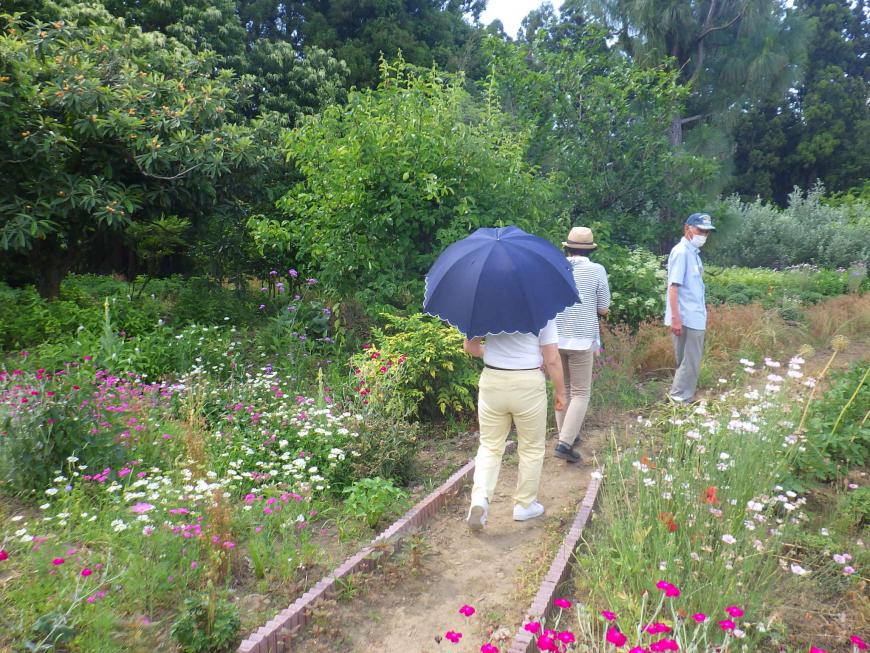 両脇に花が咲いた花壇になっている小道を見学者が散策しながら歩いている写真
