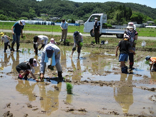 作業服を着た男性が、隣の男の子に苗を植える場所を指示している様子の写真