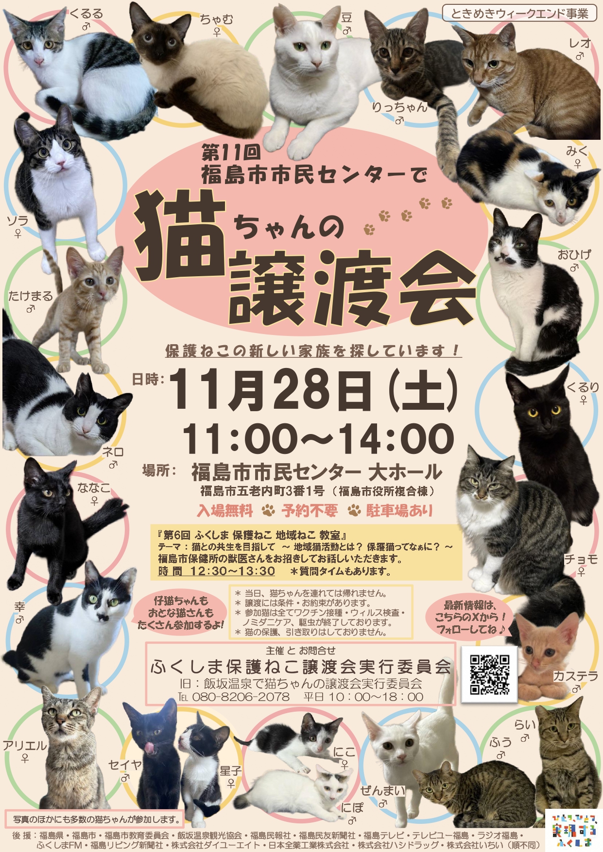 猫ちゃん譲渡会のチラシ