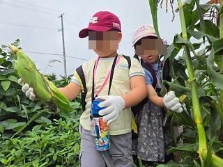 とうもろこし