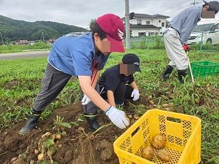 じゃがいもほり
