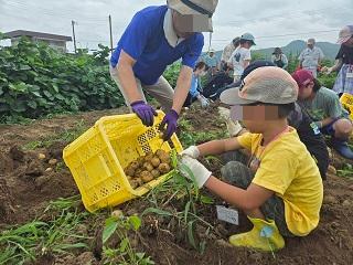 じゃがいもほり