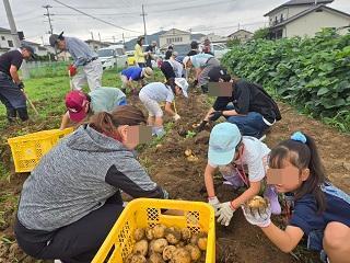 じゃがいもほり