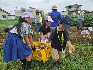 じゃがいもほり