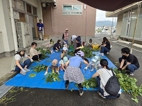 まめもぎ