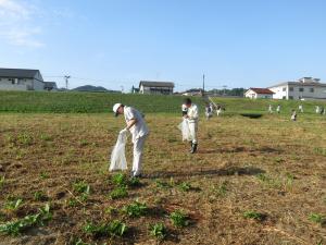 河川敷に散らばってゴミ袋を手に清掃活動をしている人々の写真