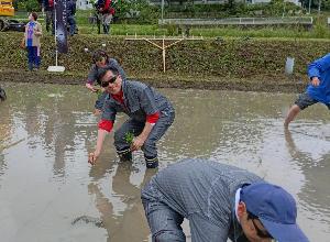 飯野UFO田植え