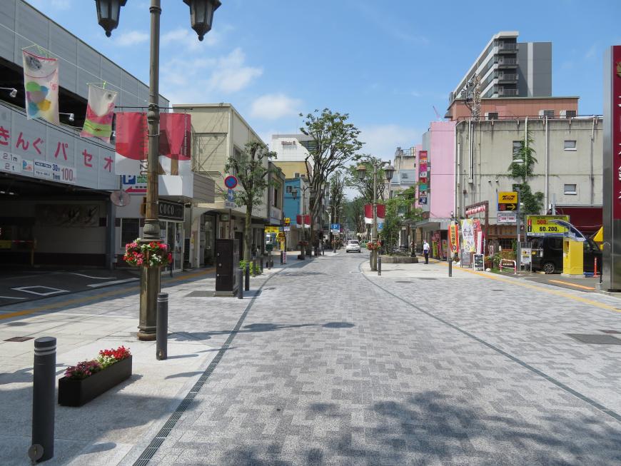 道路と歩道が段差なく舗装され、街灯、街路樹、歩道と車道を分けるポールなどが設置された通りの写真