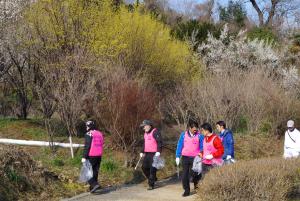 花見山の小道をお揃いのピンク色のビブスの様な物を着た方々が、ビニール袋を持ちゴミ拾いを行っているクリーンアップ作戦の様子の写真