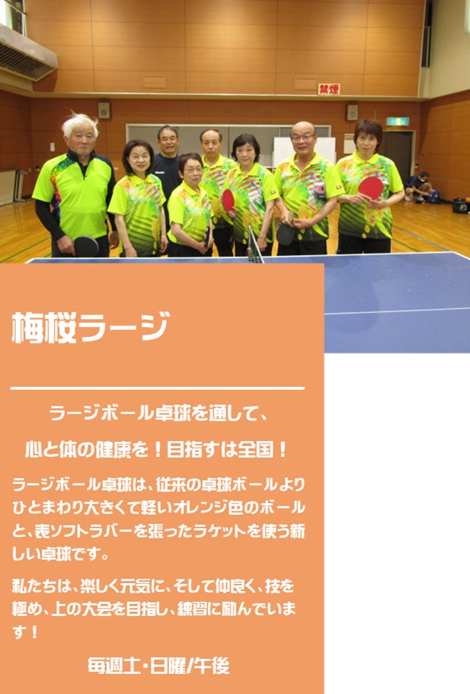 お揃いの黄色のシャツを着て卓球台の後ろに並んでいる梅桜ラージの紹介写真