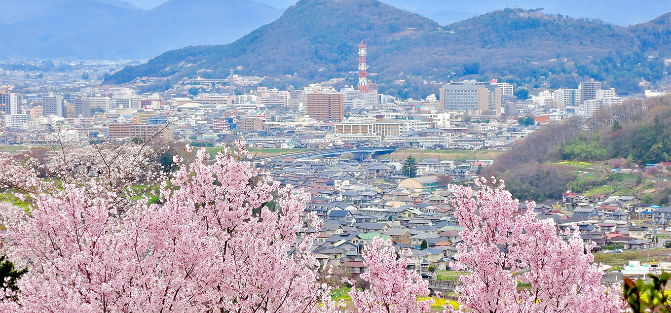 桜が満開の花見山公園から見える福島市街地