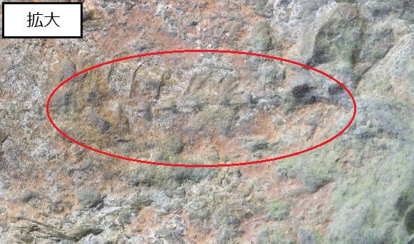 tisitu14-4