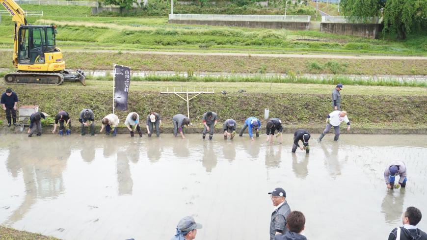 tauekaisi