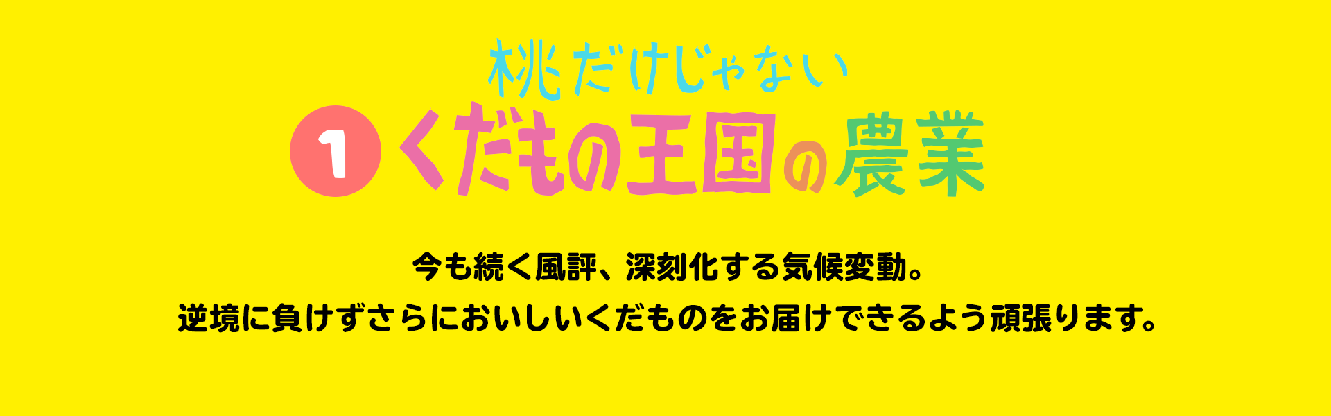 桃だけじゃない くだもの王国の農業 今も続く風評、深刻化する気候変動。逆境に負けずさらにおいしいくだものをお届けできるよう頑張ります。