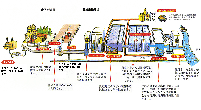 下水道のしくみイメージ