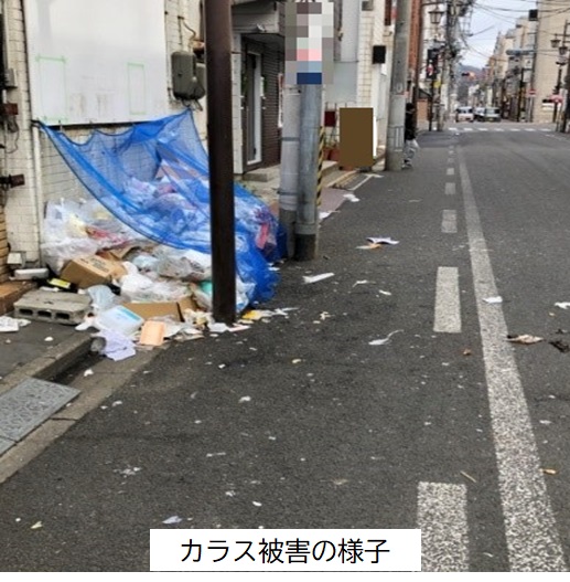 カラス被害写真