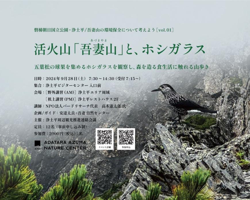 ほしがらすちらし