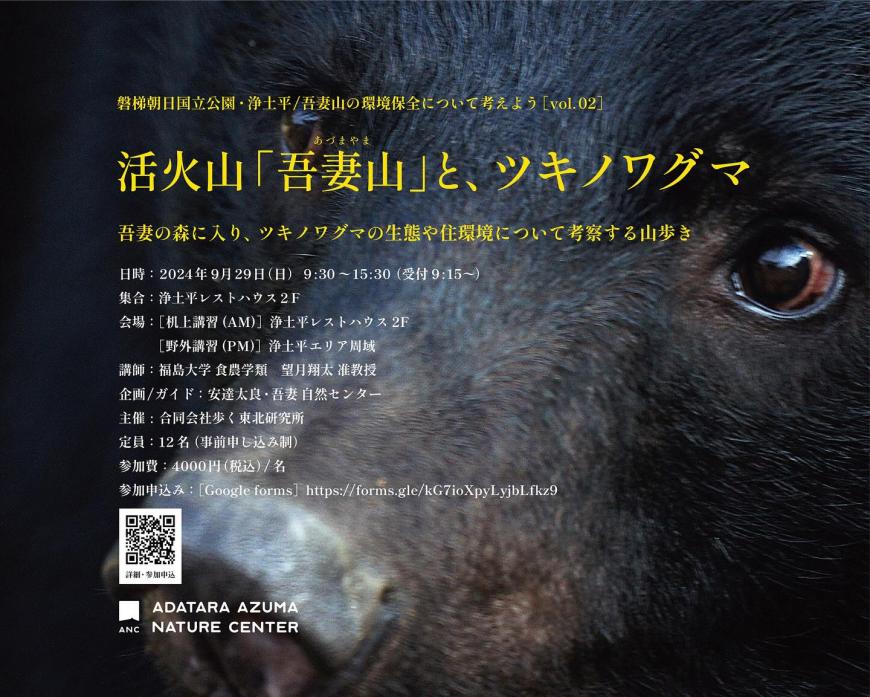 熊ちらし