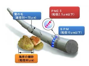 PM2.5の大きさ