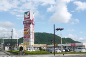 ヨーク野田店