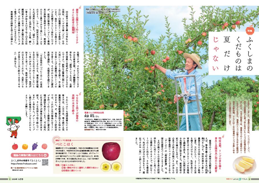 リンゴを収穫する福島リンゴ研究会会長の阿部幸弘さん