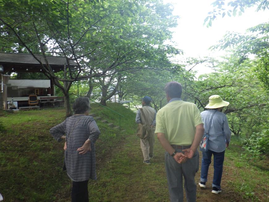 watanabe1