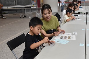 hashimochikata4