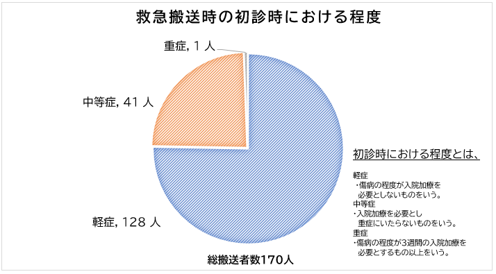 救急搬送時の初診時における程度の円グラフ