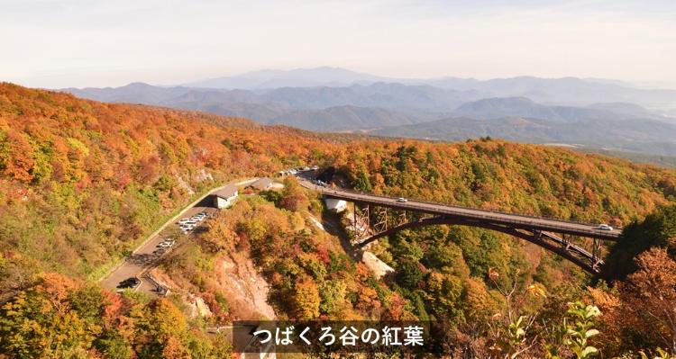 つばくろ谷の紅葉