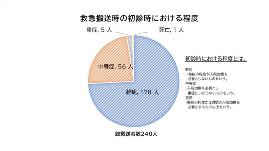 救急搬送時の初診時における程度の円グラフ