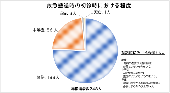 救急搬送時の初診時における程度の円グラフ