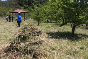 手前に大量の刈り取られた草の山が積み上げられ、その奥の芝生と木が点在する広場では、青い作業服の複数の作業員が東屋の周りで除草作業を行っている写真