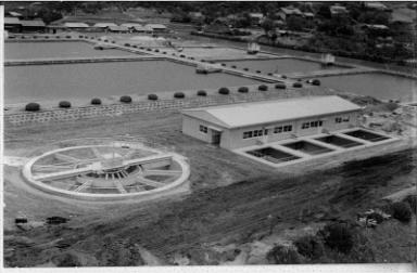 小高い場所から見下ろした渡利浄水場（第4次拡張）の全景で、手前に円形の大きな水処理施設と平屋の建物、奥に広大な長方形の沈殿池のような施設が並んでいる様子を写したモノクロ写真