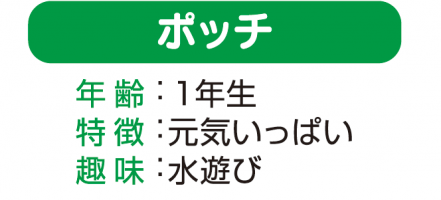 ポッチ「年齢：1年生」「特徴：元気いっぱい」「趣味：水遊び」
