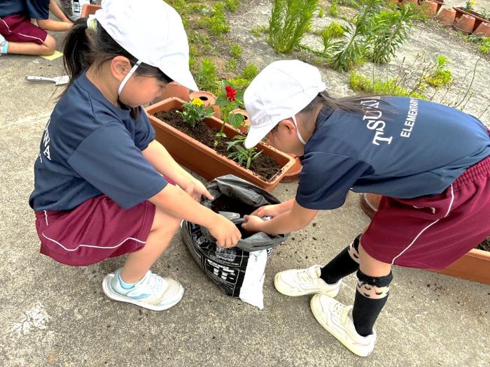 児童植え替え作業の写真