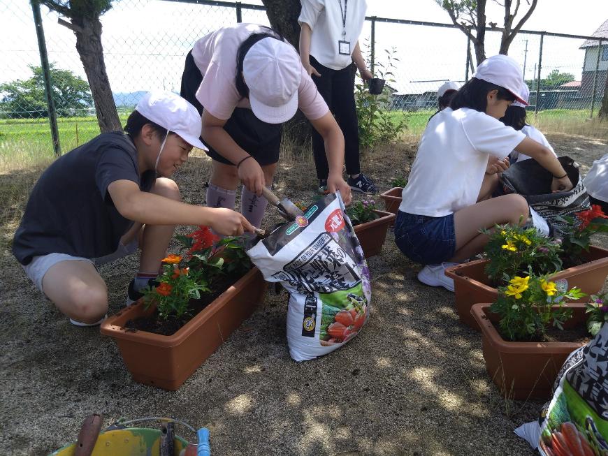 児童植え替え作業の写真