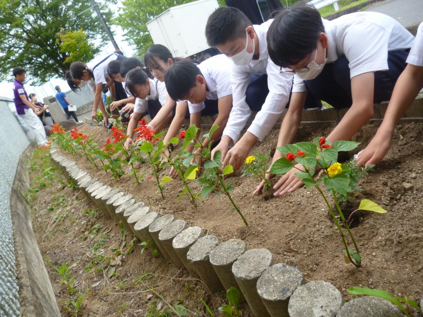 子どもたちが花壇前に1列に並びしゃがみながら花の苗を植えている様子を写した写真