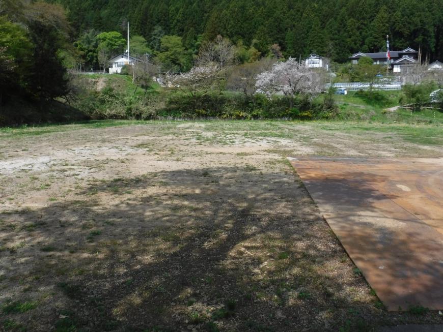 まばらな緑の地面が遠くまで広がり桜の木や民家が映っている写真