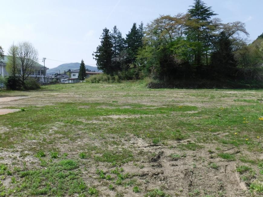 まばらな緑の地面が遠くまで広がり右側に木々が生えている写真